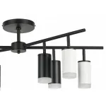 Потолочная люстра Lightstar Rullo LR7283643740