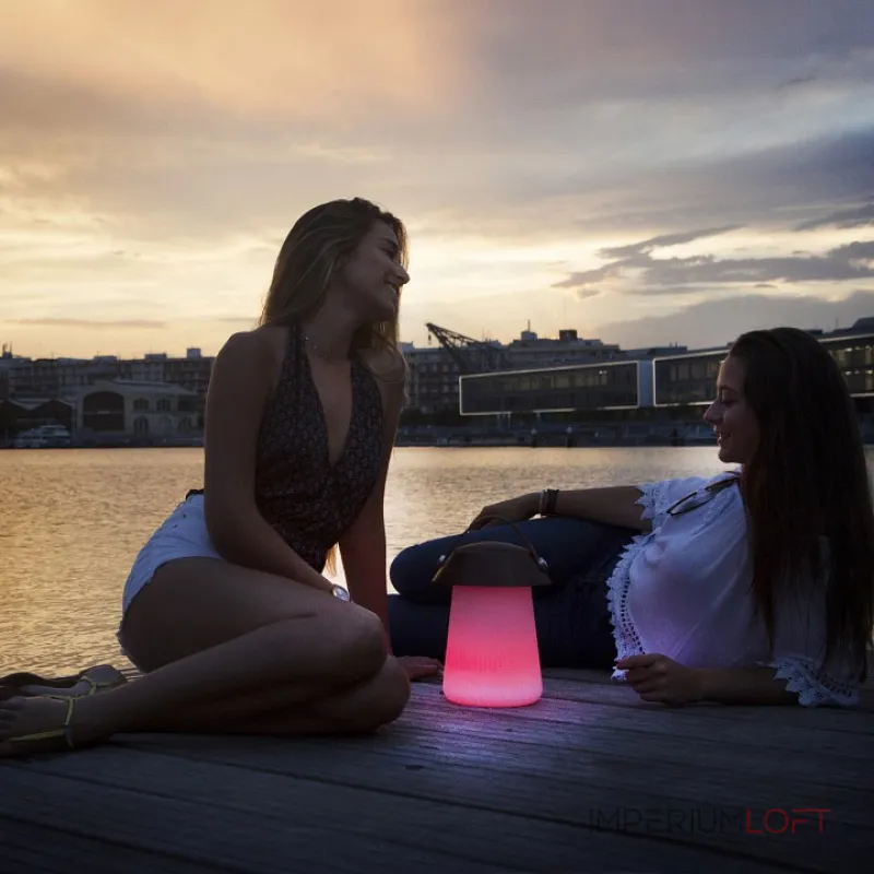 Настольная лампа декоративная Mantra Funghi 3697 Цвет плафонов коричневый Цвет арматуры белый от ImperiumLoft