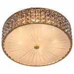 Потолочный светильник Citilux Портал CL324152 