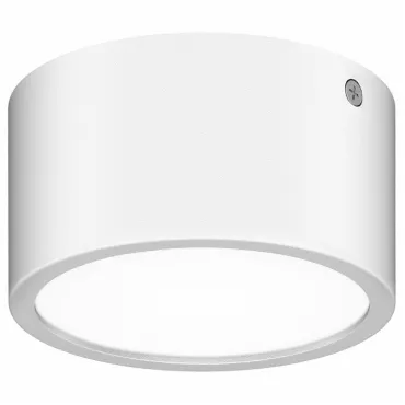 Накладной светильник Lightstar Zolla 380164