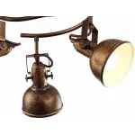 Спот Arte Lamp Martin A5215PL-3BR Цвет арматуры коричневый Цвет плафонов коричневый от ImperiumLoft