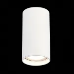 Накладной светильник ST-Luce ST157 ST157.532.15 от ImperiumLoft