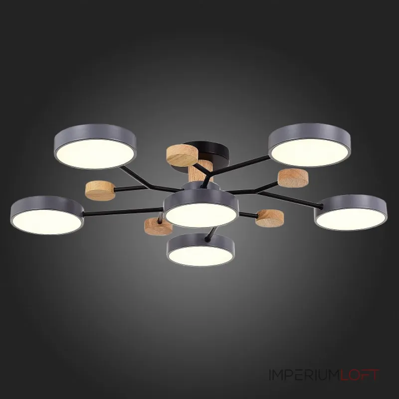 Потолочная люстра EVOLUCE Faema SLE6006-702-06