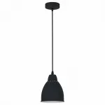 Подвесной светильник Arte Lamp Braccio A2054SP-1BK 