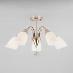 Потолочная люстра 30149/5