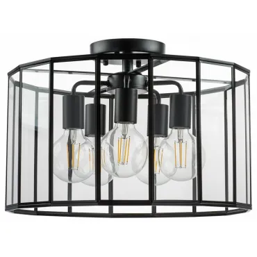 Потолочный светильник Lightstar Genni 798257 