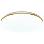 Накладной светильник Sonex Lassa 3043/DL Цвет арматуры золото Цвет плафонов белый от ImperiumLoft