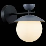 Бра EVOLUCE Genova SLE220201-01 от ImperiumLoft