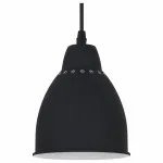 Подвесной светильник Arte Lamp Braccio A2054SP-1BK 