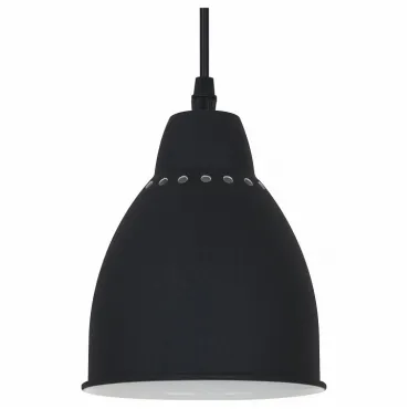 Подвесной светильник Arte Lamp Braccio A2054SP-1BK 