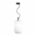 Подвесной светильник Odeon Light Roofi 4751/1 