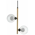 Подвесной светильник Indigo Piano 11021/2P Clear