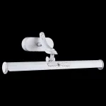 Подсветка для картин Maytoni Raphael PIC113-02-W Цвет арматуры белый Цвет плафонов белый от ImperiumLoft