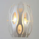 Накладной светильник Rivoli Meike Б0047925 Цвет плафонов белый от ImperiumLoft