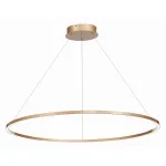 Подвесная люстра ST-Luce ST605 DOWN ST605.243.46 