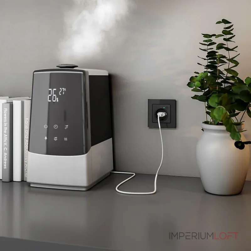 Розетка с заземлением и шторками, без рамки с Wi-Fi Werkel черный матовый W1171608 от ImperiumLoft