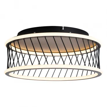 Потолочный светильник F-promo Korg 4436-2C