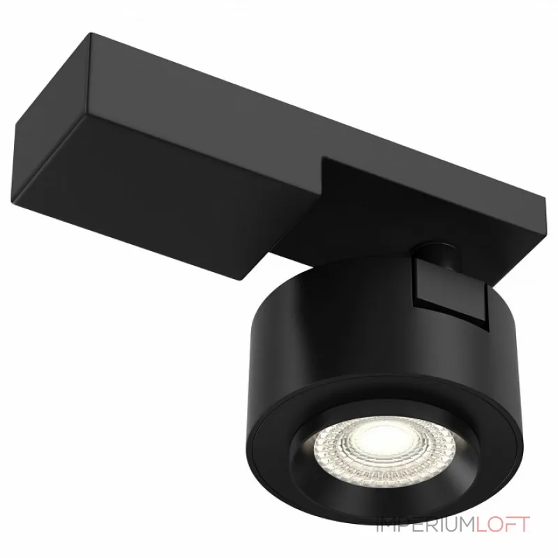 Светильник на штанге Maytoni Treo C062CL-L12B3K Цвет арматуры черный Цвет плафонов черный от ImperiumLoft