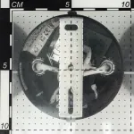 Бра Citilux Деко CL504522 от ImperiumLoft