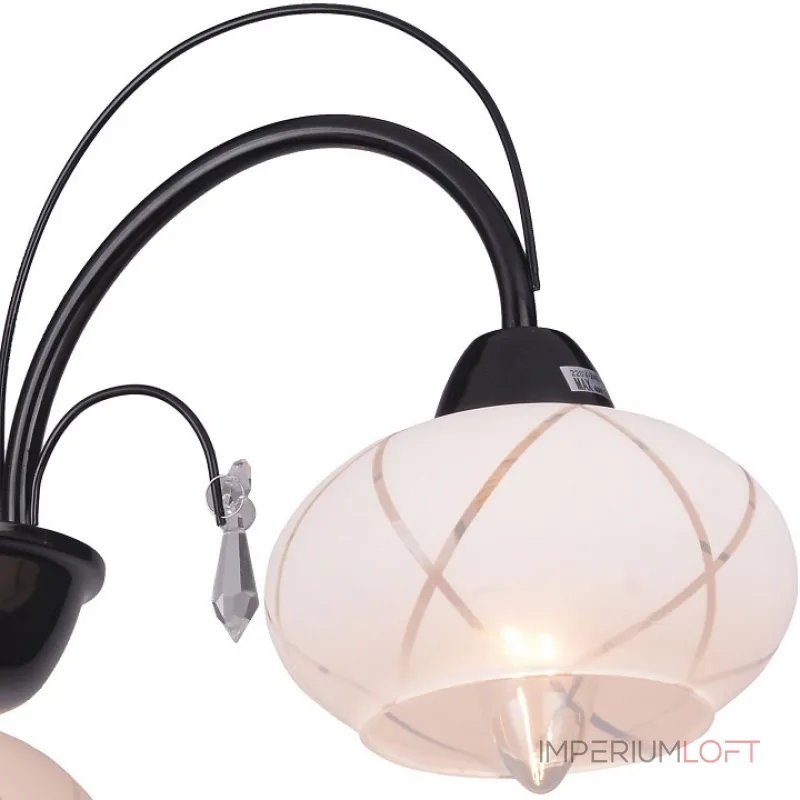 Потолочная люстра TopLight Roberta TL3700X-03BC 