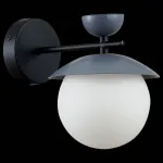 Бра EVOLUCE Genova SLE220201-01 от ImperiumLoft