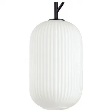 Подвесной светильник Odeon Light Roofi 4751/1 Подвесной светильник Odeon Light Roofi 4751/1