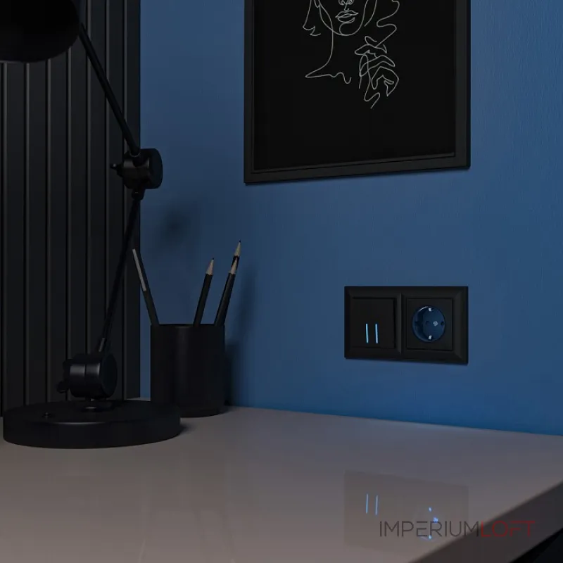 Розетка с заземлением с подсветкой без рамки Werkel черный W1171408 от ImperiumLoft Розетка с заземлением с подсветкой без рамки Werkel черный W1171408 от ImperiumLoft