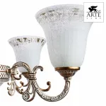Подвесная люстра Arte Lamp Delizia A1032LM-6-3WG 