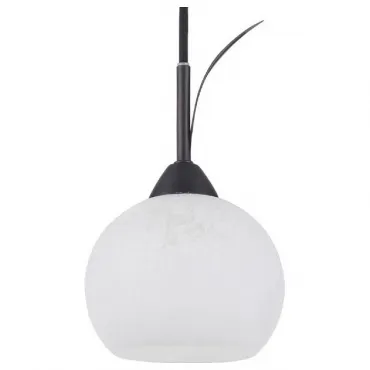 Подвесной светильник Lussole Bagheria LSF-6296-01 