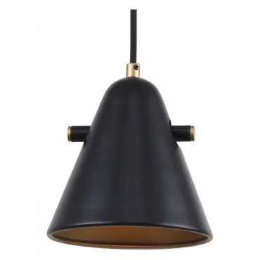 Подвесной светильник F-promo Rigor 2844-1P Подвесной светильник F-promo Rigor 2844-1P