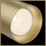 Спот Maytoni Focus C017CW-01MG Цвет арматуры латунь Цвет плафонов латунь от ImperiumLoft