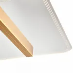 Потолочный светильник Vele Luce Futuro VL7224L21 