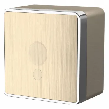 Розетка для вывод кабеля Werkel Gallant (шампань рифленый) W5050210 Gallant (шампань рифленый)