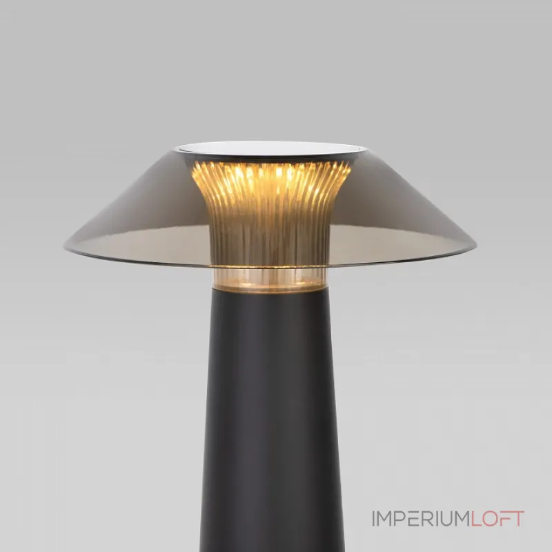 Настольная лампа декоративная Elektrostandard Future TL70200 от ImperiumLoft