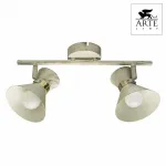 Спот Arte Lamp Baltimore A1406AP-2WG Цвет арматуры золото Цвет плафонов белый от ImperiumLoft