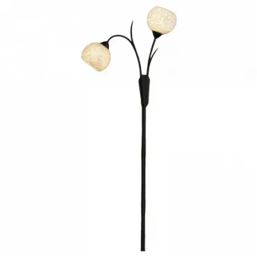 Торшер Lussole Bagheria LSF-6295-02 Цвет арматуры коричневый