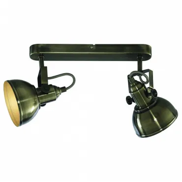 Спот Arte Lamp Martin A5213AP-2AB Цвет арматуры бронза Цвет плафонов бронза