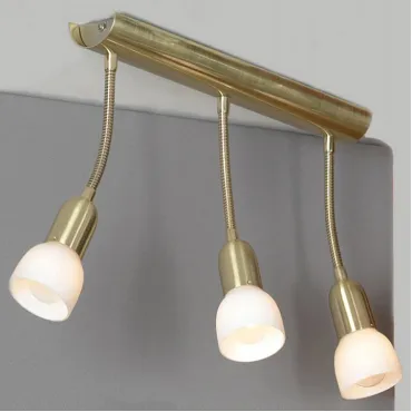 Спот Lussole Barete LSL-7790-03 Цвет арматуры золото