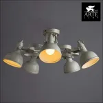 Потолочная люстра Arte Lamp Martin A5216PL-5WG 