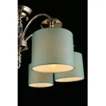 Потолочная люстра Aployt Nikolet APL.714.07.06 