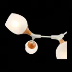 Люстра на штанге EVOLUCE Ciotolla SLE113502-05 