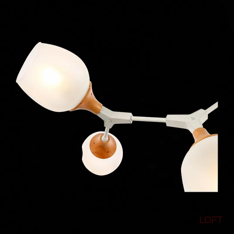 Люстра на штанге EVOLUCE Ciotolla SLE113502-05 