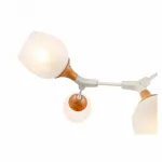 Люстра на штанге EVOLUCE Ciotolla SLE113502-05 