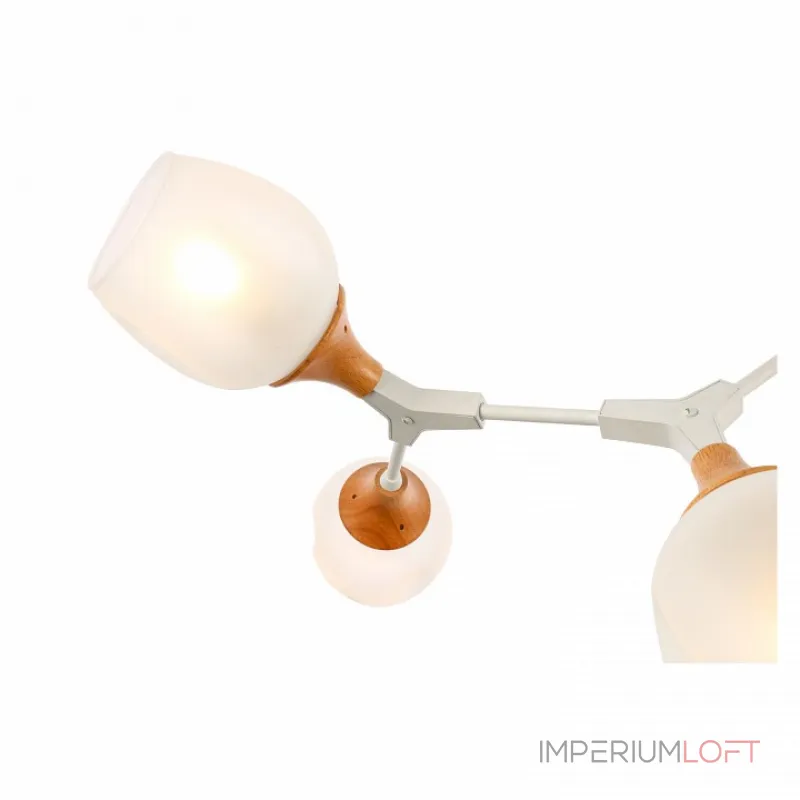 Люстра на штанге EVOLUCE Ciotolla SLE113502-05 