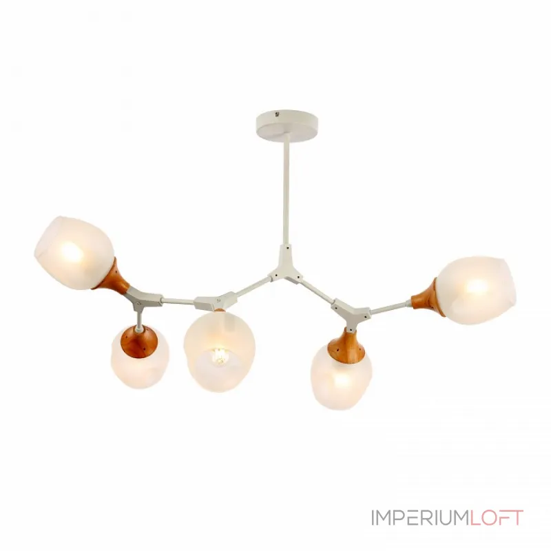 Люстра на штанге EVOLUCE Ciotolla SLE113502-05 