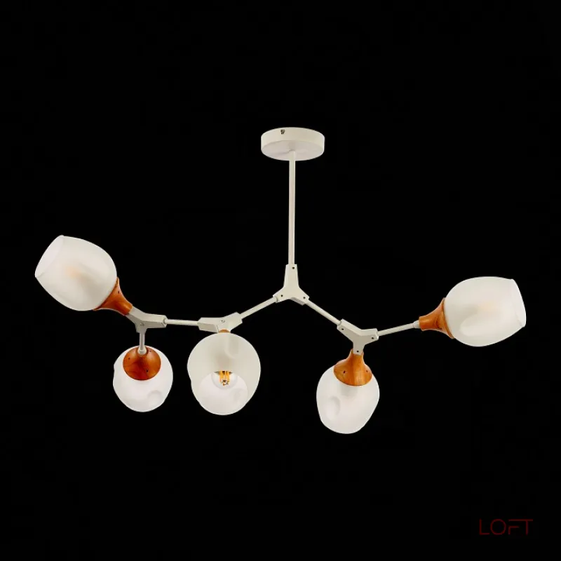 Люстра на штанге EVOLUCE Ciotolla SLE113502-05 