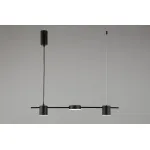 Подвесной светильник Aployt Frania APL.017.03.18