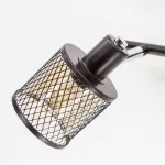 Бра Citilux Робин CL535625 Цвет плафонов кремовый Цвет арматуры коричневый от ImperiumLoft