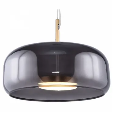 Подвесной светильник Maytoni MOD127PL-L6SG