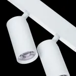 Светильник на штанге Lightstar Teta 205506 от ImperiumLoft